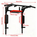 IronPulse 2-in-1 Wall Gym